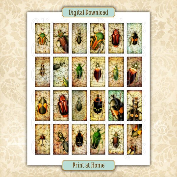 Beetles 1 x 2 inches dominoes collage sheet