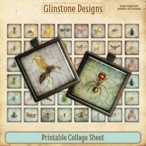 Forty-eight printable insects 1 inch squares