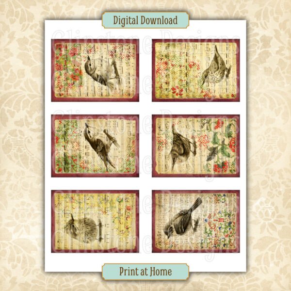 Six songbirds and music art cards on a page