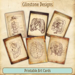 Six vintage anatomy illustrations printable art cards