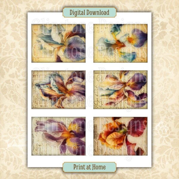 Six vintage-style irises art cards on a page