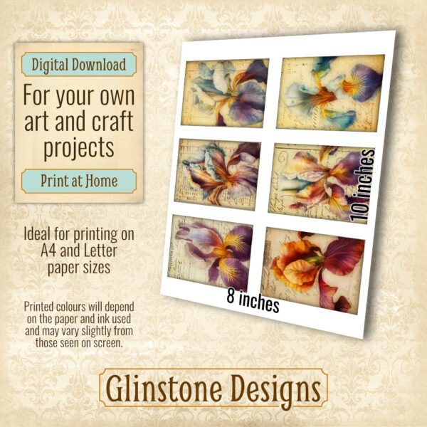 Six vintage-style irises art cards details