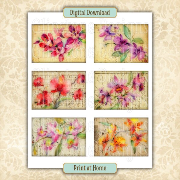 Six vintage-style orchids art cards on a page