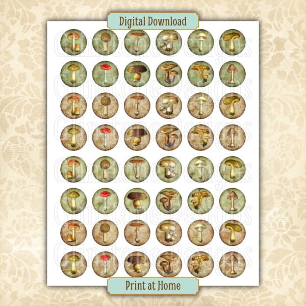 Wild mushrooms 1 inch circles collage sheet