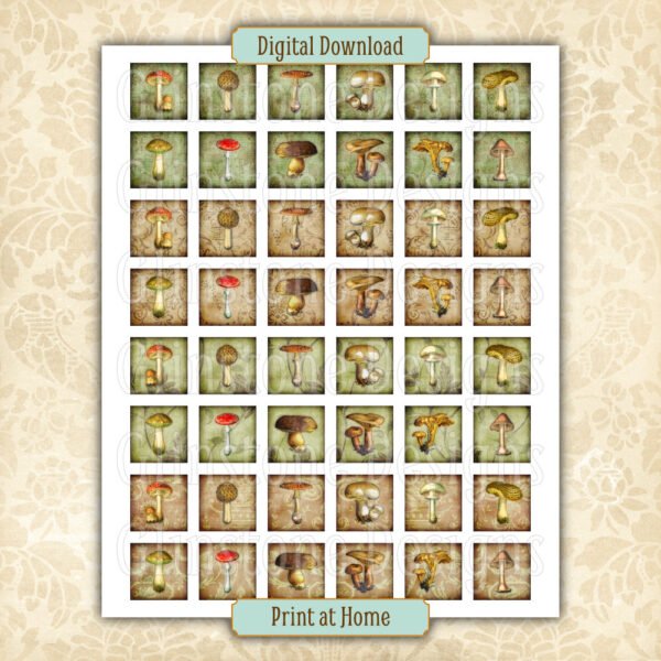 Wild mushrooms 1 inch squares collage sheet