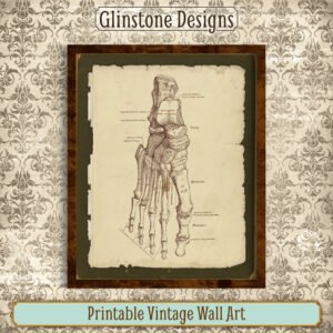 Human foot bones anatomical illustration vintage wall art